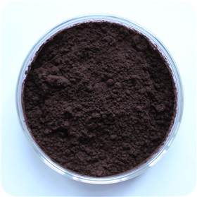 Solvent Violet 13 - 1